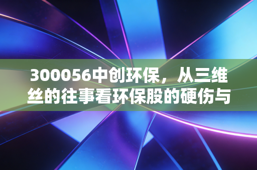 300056中创环保,从三维丝的往事看环保股的硬伤与重生