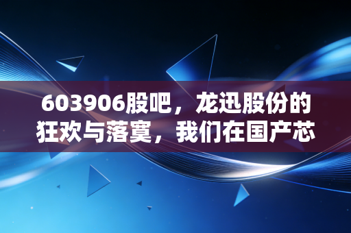 603906股吧,龙迅股份的狂欢与落寞,我们在国产芯片的浪潮中究竟在赌什么?