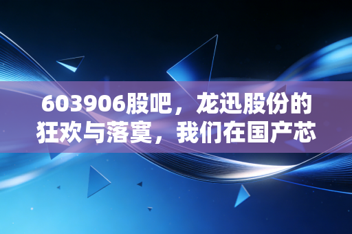 603906股吧，龙迅股份的狂欢与落寞，我们在国产芯片的浪潮中究竟在赌什么？