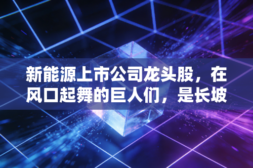 新能源上市公司龙头股，在风口起舞的巨人们，是长坡厚雪还是高处不胜寒？