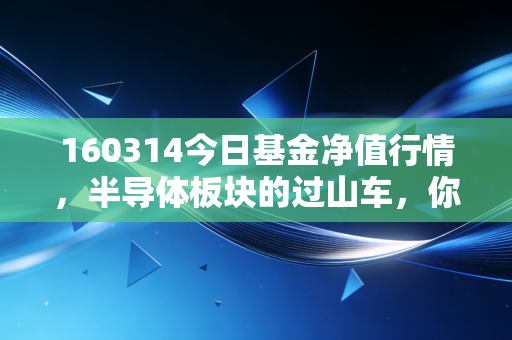 160314今日基金净值行情,半导体板块的过山车,你的心脏还好吗?