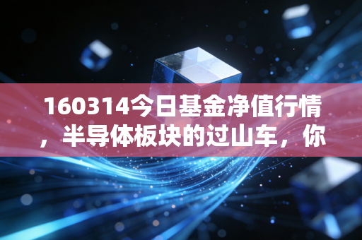 160314今日基金净值行情，半导体板块的过山车，你的心脏还好吗？