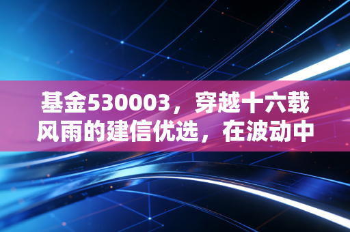 基金530003,穿越十六载风雨的建信优选,在波动中我们该如何安放财富?