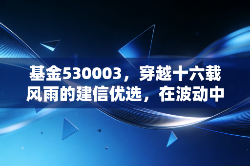 基金530003,穿越十六载风雨的建信优选,在波动中我们该如何安放财富?