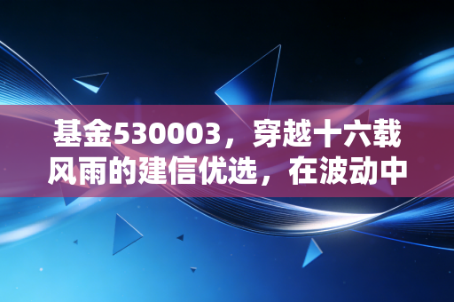 基金530003，穿越十六载风雨的建信优选，在波动中我们该如何安放财富？