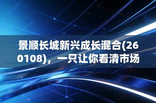 景顺长城新兴成长混合(260108)，一只让你看清市场残酷与美丽的基金
