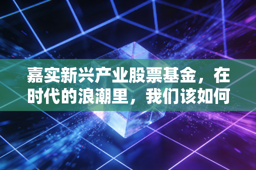 嘉实新兴产业股票基金，在时代的浪潮里，我们该如何安放那颗躁动的成长之心？