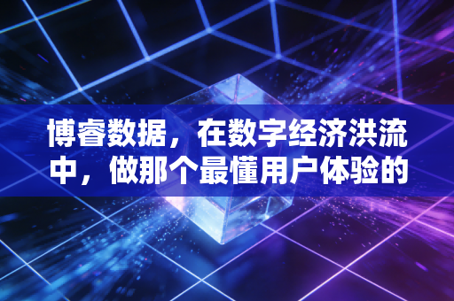 博睿数据，在数字经济洪流中，做那个最懂用户体验的隐形守门人