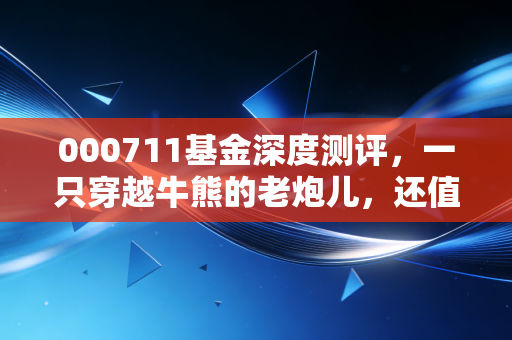 000711基金深度测评,一只穿越牛熊的老炮儿,还值得现在的我们托付吗?