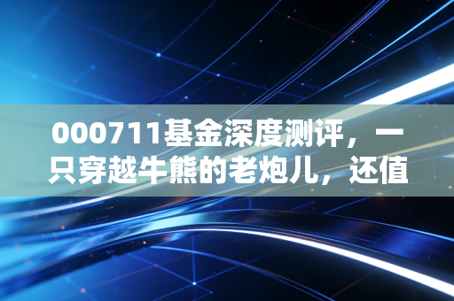 000711基金深度测评,一只穿越牛熊的老炮儿,还值得现在的我们托付吗?