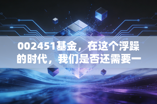002451基金，在这个浮躁的时代，我们是否还需要一块压舱石？