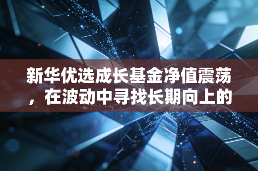 新华优选成长基金净值震荡，在波动中寻找长期向上的力量