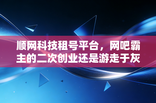 顺网科技租号平台，网吧霸主的二次创业还是游走于灰色地带的豪赌？