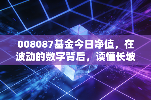008087基金今日净值，在波动的数字背后，读懂长坡厚雪的真正含义