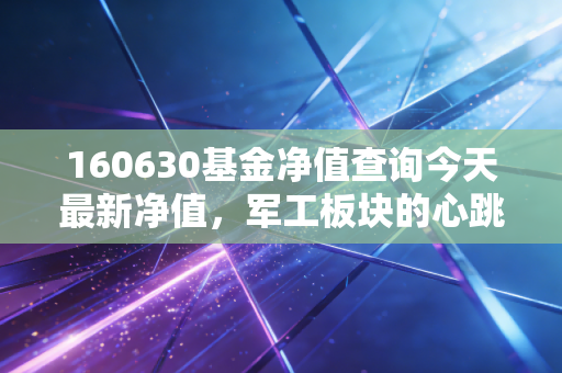160630基金净值查询今天最新净值，军工板块的心跳与普通投资者的坚守