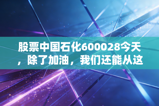 股票中国石化600028今天,除了加油,我们还能从这只巨无霸身上看到什么?