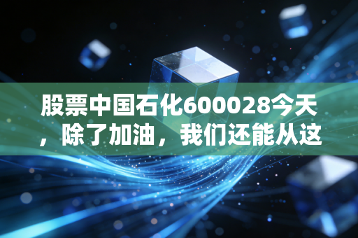 股票中国石化600028今天，除了加油，我们还能从这只巨无霸身上看到什么？