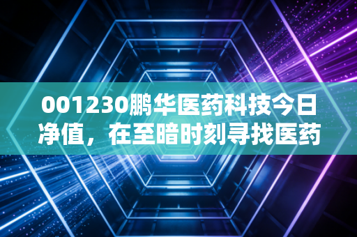 001230鹏华医药科技今日净值,在至暗时刻寻找医药板块的长坡厚雪
