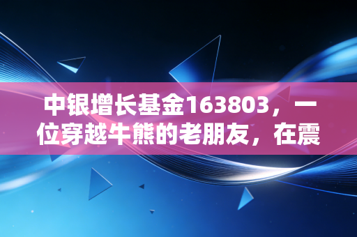 中银增长基金163803，一位穿越牛熊的老朋友，在震荡市中还能否守住我们的钱袋子？
