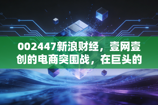 002447新浪财经，壹网壹创的电商突围战，在巨头的夹缝中寻找新奶酪