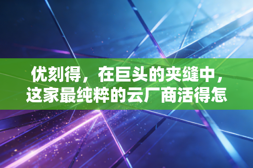 优刻得，在巨头的夹缝中，这家最纯粹的云厂商活得怎么样了？
