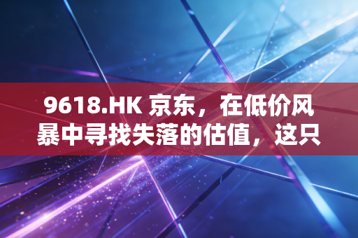 9618.HK 京东，在低价风暴中寻找失落的估值，这只大象还能起舞吗？