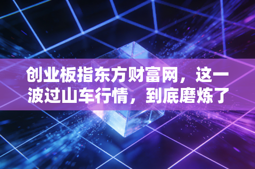 创业板指东方财富网，这一波过山车行情，到底磨炼了谁的心性？