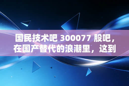 国民技术吧 300077 股吧，在国产替代的浪潮里，这到底是黄金坑还是接盘侠的修罗场？