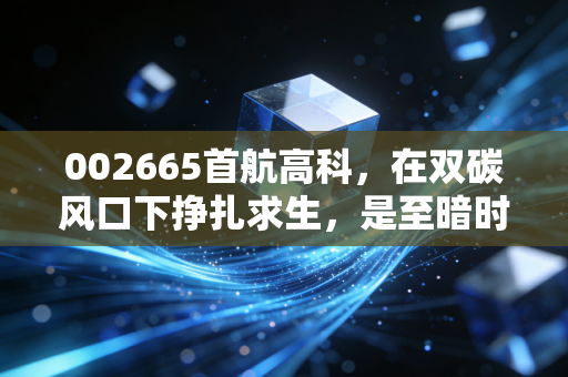 002665首航高科，在双碳风口下挣扎求生，是至暗时刻还是黎明前的博弈？
