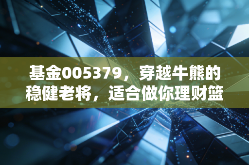 基金005379,穿越牛熊的稳健老将,适合做你理财篮子里的压舱石吗?