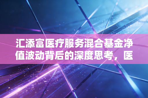 汇添富医疗服务混合基金净值波动背后的深度思考，医药板块的至暗时刻还是黎明前夜？