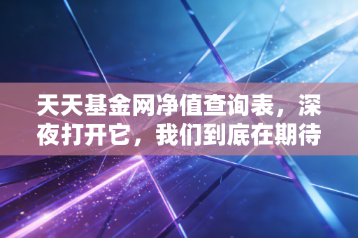 天天基金网净值查询表，深夜打开它，我们到底在期待什么？
