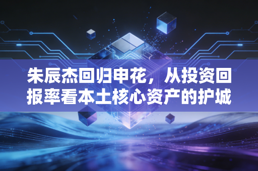 朱辰杰回归申花,从投资回报率看本土核心资产的护城河效应