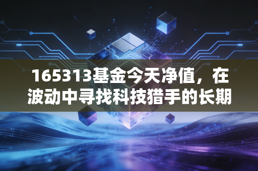 165313基金今天净值,在波动中寻找科技猎手的长期答案