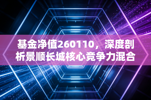 基金净值260110,深度剖析景顺长城核心竞争力混合,在波动中寻找长跑的定力