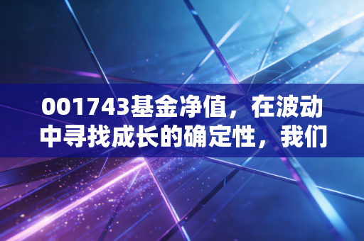 001743基金净值,在波动中寻找成长的确定性,我们该如何面对这只老将的起伏?
