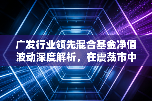 广发行业领先混合基金净值波动深度解析,在震荡市中寻找行业领先的真谛与投资定力