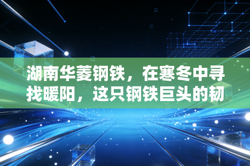 湖南华菱钢铁，在寒冬中寻找暖阳，这只钢铁巨头的韧性从何而来？