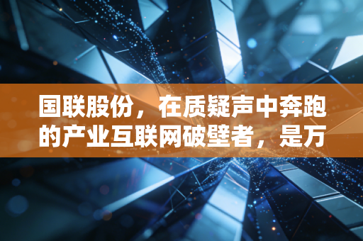 国联股份，在质疑声中奔跑的产业互联网破壁者，是万亿蓝海还是资本泡沫？