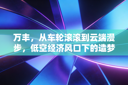 万丰，从车轮滚滚到云端漫步，低空经济风口下的造梦者还能飞多远？