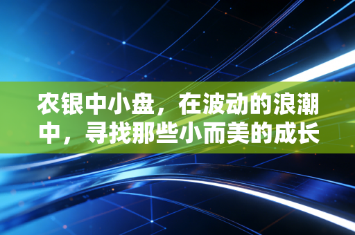 农银中小盘，在波动的浪潮中，寻找那些小而美的成长珍珠