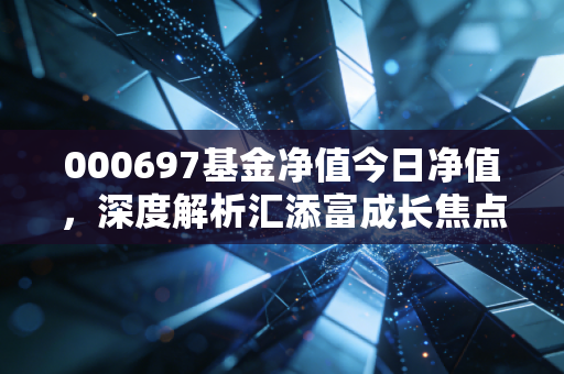 000697基金净值今日净值，深度解析汇添富成长焦点，在波动中寻找成长的定海神针