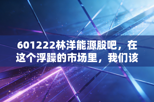 601222林洋能源股吧,在这个浮躁的市场里,我们该如何重新审视这位隐形冠军?