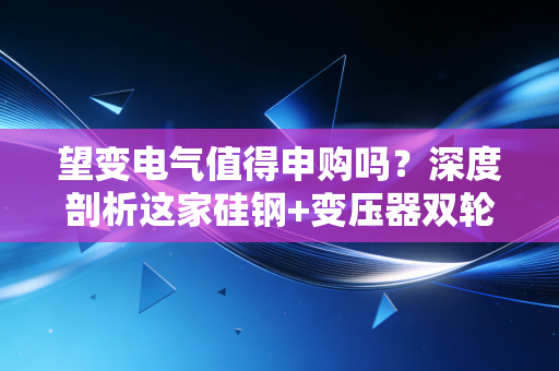 望变电气值得申购吗？深度剖析这家硅钢+变压器双轮驱动的隐形冠军，是宝藏还是坑？