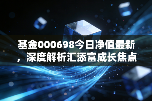 基金000698今日净值最新,深度解析汇添富成长焦点背后的投资逻辑与市场博弈