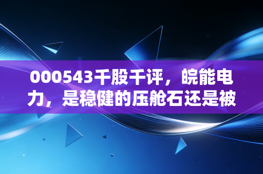 000543千股千评,皖能电力,是稳健的压舱石还是被低估的潜力股?