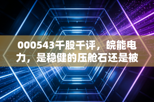 000543千股千评，皖能电力，是稳健的压舱石还是被低估的潜力股？