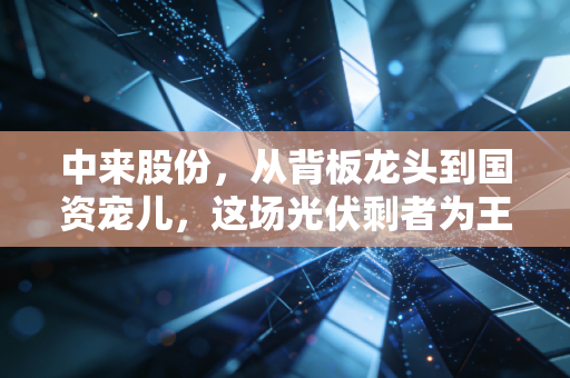 中来股份,从背板龙头到国资宠儿,这场光伏剩者为王的游戏里,它手里到底握着什么牌?