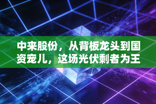 中来股份,从背板龙头到国资宠儿,这场光伏剩者为王的游戏里,它手里到底握着什么牌?
