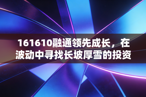 161610融通领先成长，在波动中寻找长坡厚雪的投资利器
